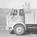 534COMBOY ARGUB